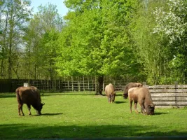 Musikviertel Leipzig - POI - Wildtierpark