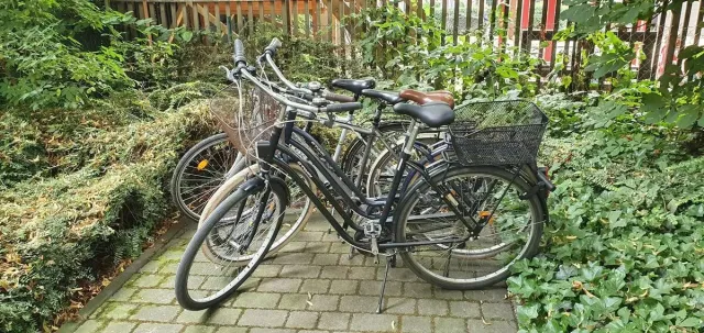 Musikviertel Leipzig - Ferdinand-Rhode-Stra&szlig;e 16 -  Leihfahrr&auml;der