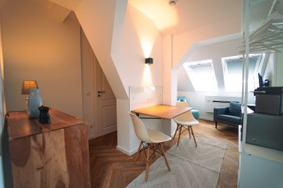 Musikviertel Leipzig - Burzgzimmer - Ansicht Essecke und Wohn-/Schlafbereich