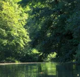 Musikviertel Leipzig - POI - Leipziger Auwald